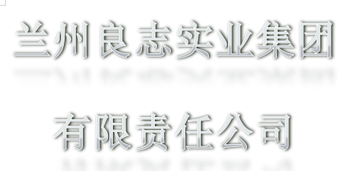 兰州良志实业集团有限责任公司4S店职业病危害现状评价报告