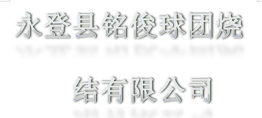 永登县铭俊球团烧结有限公司定期检测报告